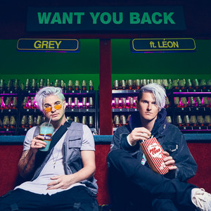 Want You Back - Grey | Song Album Cover Artwork