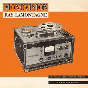 We'll Make It Through Ray LaMontagne | Album Cover