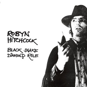 The Man Who Invented Himself - Robyn Hitchcock | Song Album Cover Artwork