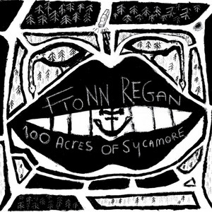 Dogwood Blossom - Fionn Regan | Song Album Cover Artwork