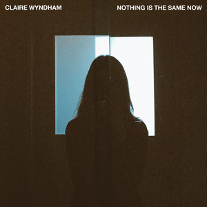 Nothing Is the Same Now - Claire Wyndham