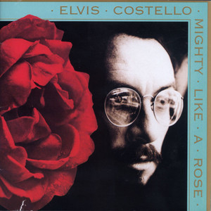 The Other Side of Summer - Elvis Costello | Song Album Cover Artwork