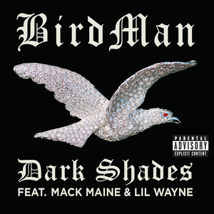 Dark Shades Birdman | Album Cover