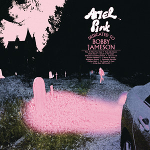 Feels Like Heaven - Ariel Pink | Song Album Cover Artwork
