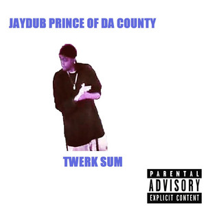 Twerk Sum - Jaydub Prince Of Da County