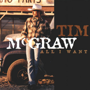 I Like It, I Love It - Tim McGraw | Song Album Cover Artwork