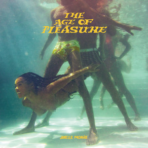Float (feat. Seun Kuti & Egypt 80) Janelle Monáe | Album Cover