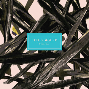 The Order of Things - Field Mouse | Song Album Cover Artwork