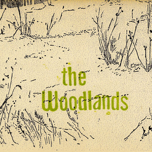 Through the Winter - The Woodlands | Song Album Cover Artwork