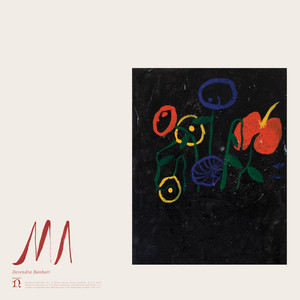 Is This Nice? - Devendra Banhart | Song Album Cover Artwork