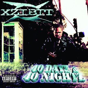 What U See Is What U Get - Xzibit | Song Album Cover Artwork