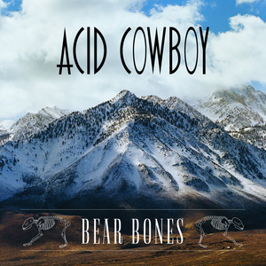 Hollywood Creatures Acid Cowboy | Album Cover