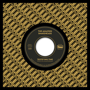 Testifying Time - The Amazing Snakeheads | Song Album Cover Artwork