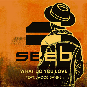 What Do You Love - Seeb