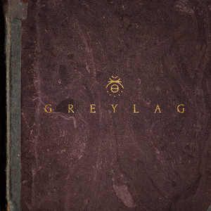 One Foot - Greylag | Song Album Cover Artwork