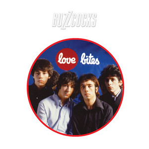 Ever Fallen in Love (With Someone You Shouldn't've?)  - Buzzcocks