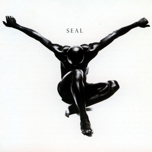 Don't Cry - Seal | Song Album Cover Artwork