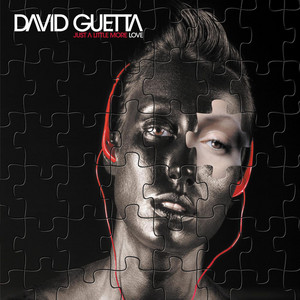 Love Don't Let Me Go - David Guetta | Song Album Cover Artwork