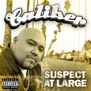 It's Your LIfe - Caliber | Song Album Cover Artwork