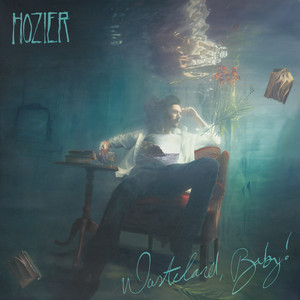 Shrike - Hozier | Song Album Cover Artwork