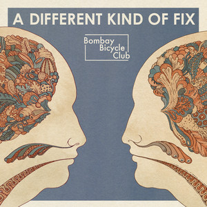 Shuffle - Bombay Bicycle Club | Song Album Cover Artwork