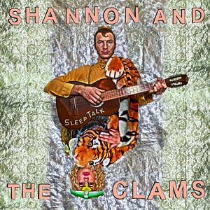 You Will Always Bring Me Flowers - Shannon & The Clams | Song Album Cover Artwork