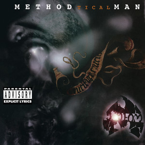 All I Need - Method Man | Song Album Cover Artwork