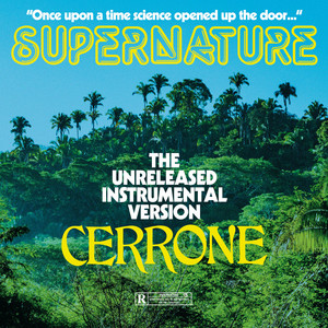 Supernature (Instrumental CLIMAX edit) - Cerrone | Song Album Cover Artwork