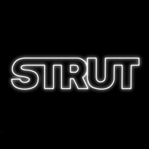Strut - Elohim | Song Album Cover Artwork