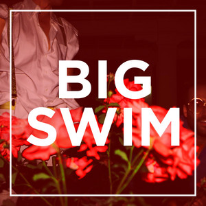 Perfect Day - Big Swim | Song Album Cover Artwork