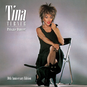 We Don't Need Another Hero (Thunderdome) - Tina Turner | Song Album Cover Artwork