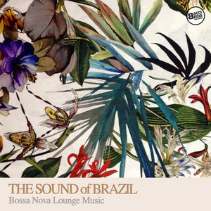 Samba Brasil 2 - Piero Piccioni | Song Album Cover Artwork
