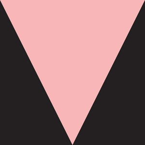 Nite and Day - Meshell Ndegeocello | Song Album Cover Artwork