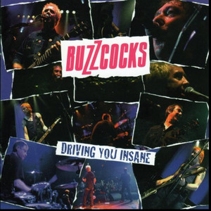 Ever Fallen In Love With Someone (You Shouldn't Have Fallen In Love With) - Buzzcocks | Song Album Cover Artwork