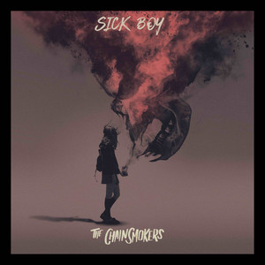 Somebody - The Chainsmokers | Song Album Cover Artwork