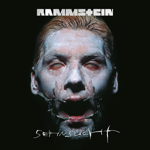 Du hast Rammstein | Album Cover