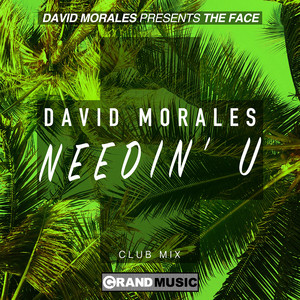 Needin' U - Club Mix - David Morales