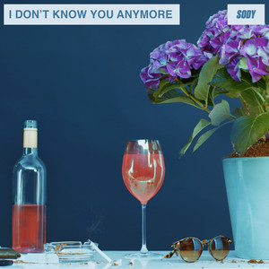 I Don't Know You Anymore (demo) - Sody | Song Album Cover Artwork