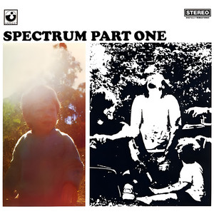 I’ll Be Gone - Single Edit Spectrum | Album Cover