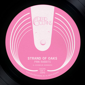 Plymouth - acoustic Strand of Oaks | Album Cover