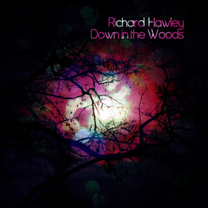 Down in the Woods - Richard Hawley | Song Album Cover Artwork