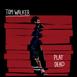 Play Dead - Tom Walker | Song Album Cover Artwork