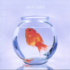 Life Is Good Todd Hunter Band | Album Cover