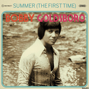 The Straight Life Bobby Goldsboro | Album Cover