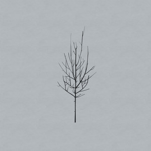 Congregation - Low | Song Album Cover Artwork