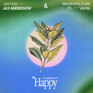 Bigger Picture (feat. VÉRITÉ) - Jax Anderson | Song Album Cover Artwork