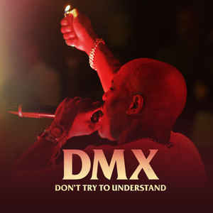 Party Up (Up In Here) - DMX | Song Album Cover Artwork