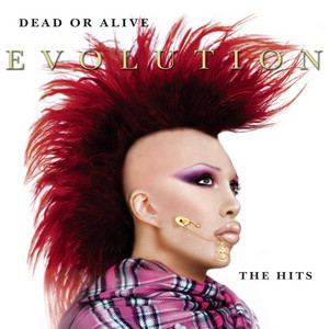 You Spin Me Round (Like a Record) Dead or Alive | Album Cover