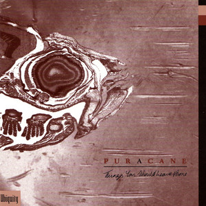 Anyone Else - Puracane | Song Album Cover Artwork