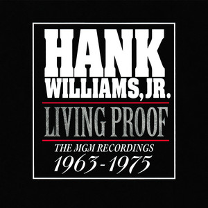 All For The Love Of Sunshine - Hank Williams, Jr. | Song Album Cover Artwork